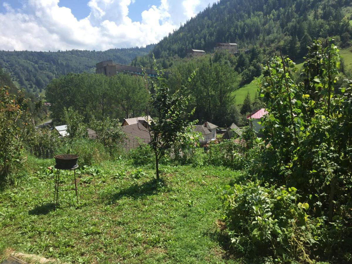 Acasa In Bicaz-Chei - Camere De Inchiriat Cheile Bicazului Luaran gambar