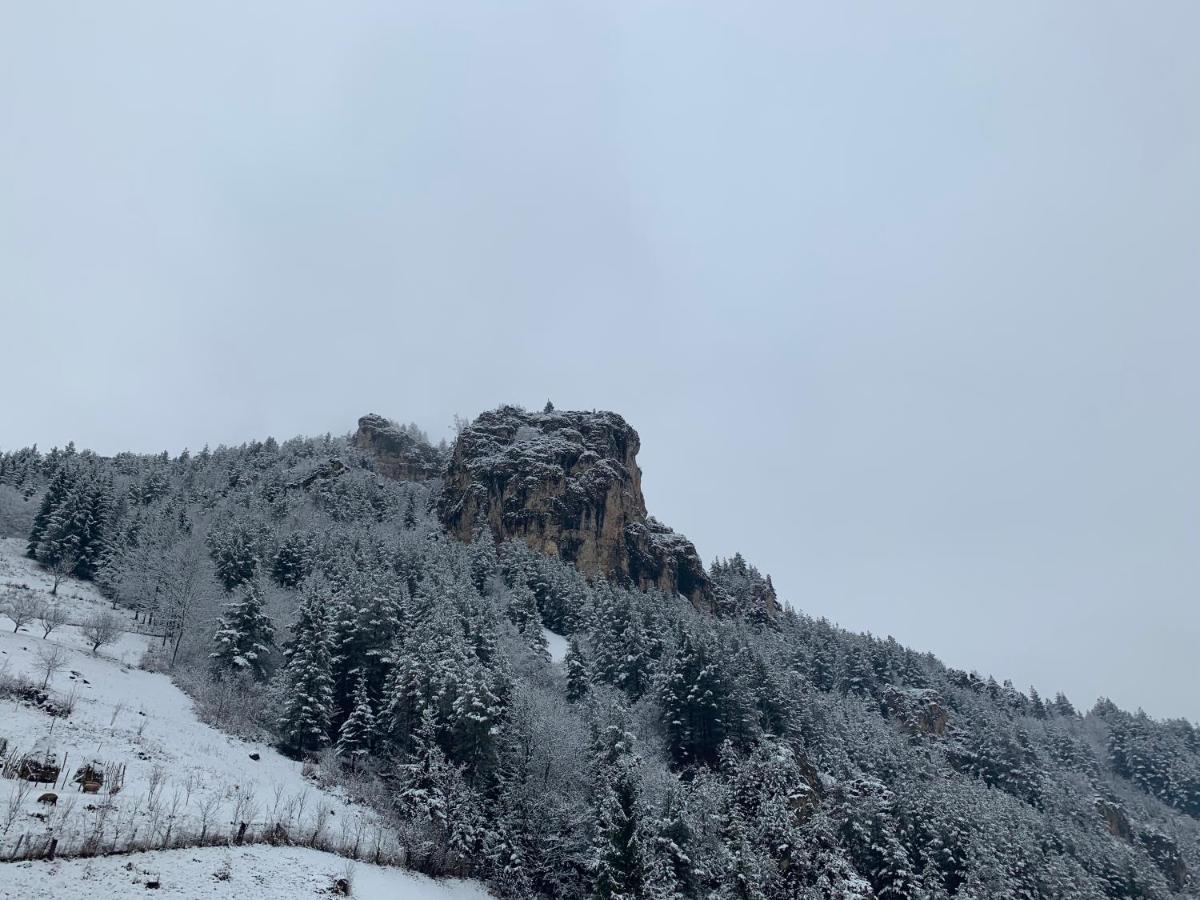 Acasa In Bicaz-Chei - Camere De Inchiriat Cheile Bicazului Luaran gambar